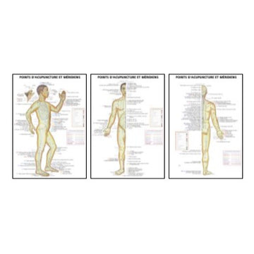 Points d'acupuncture et méridiens avec indications pathologiques (ens. 3 planches)