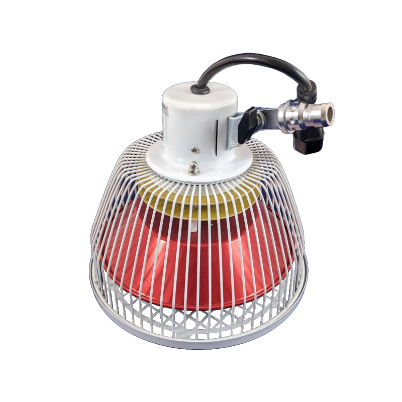 Tête De Lampe Argent Pour Appareils Chi-td6p, CQ-36, CQ-29, CQ-33 - Acupuncture - Occasion