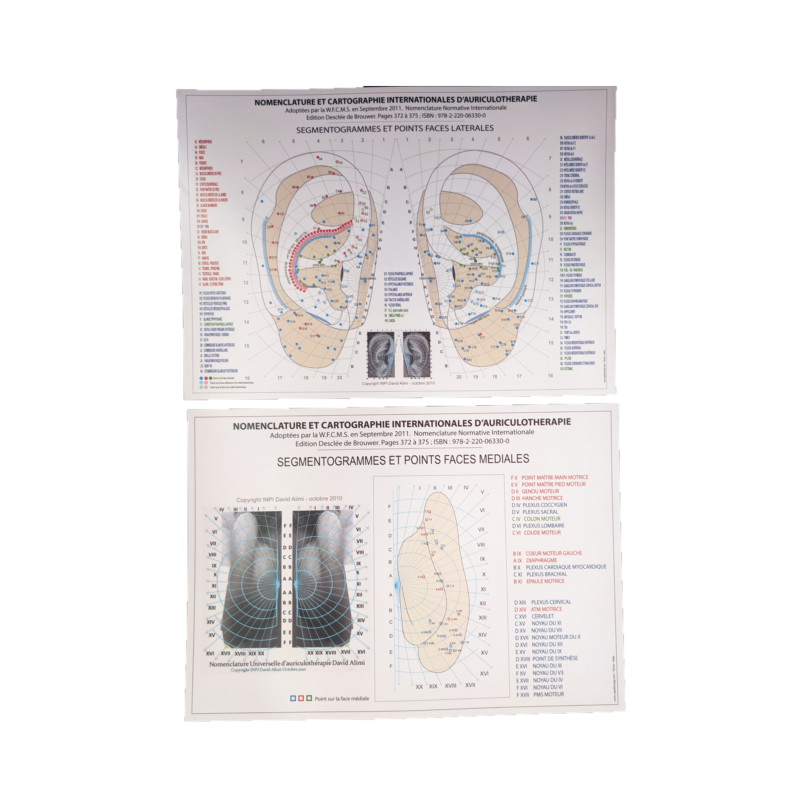 Nomenclature et cartographie internationales d'auriculothérapie