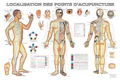 Localisation des points d'acupuncture (affiche)