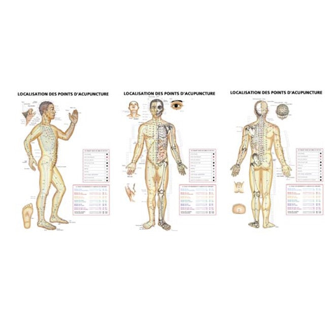 Localisation des points d'acupuncture (ens. 3 planches)