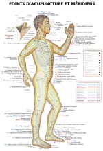 Points d'acupuncture et méridiens avec indications pathologiques (ens. 3 planches)