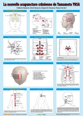 Charte La nouvelle acupuncture crânienne de Yamamoto YNSA