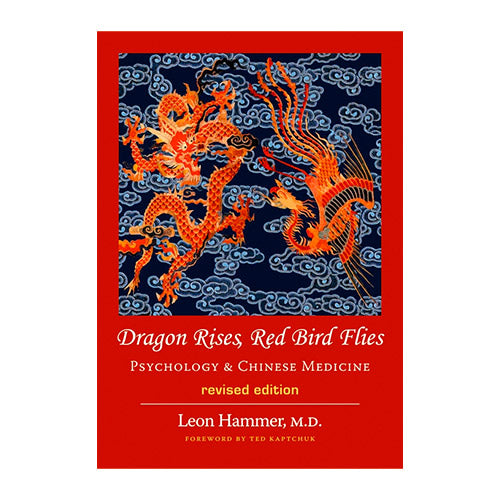 Dragon-Rises,-Red-Bird-Flies