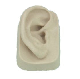 Modèle d'oreille en caoutchouc-Droite