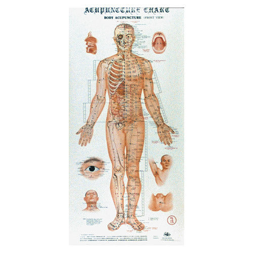 Acupuncture Charts (4 affiches)