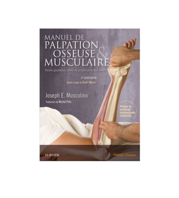 Manuel de palpation osseuse et musculaire